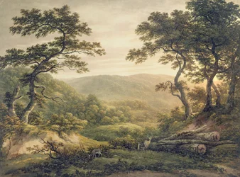 Needlewood Forest, Hampshire (akvarel na papíře)