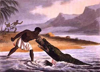 The African Crocodile Hunters, vyryl Matthew Dubourg (fl.1785-1820), vydal Edward Orme