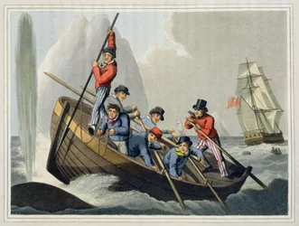 Lodní člun útočí na velrybu, vyryl Matthew Dubourg (fl. 1785-1820), vydal Edward Orme, 1813