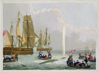 Boats Approaching a Whale, vyryl Matthew Dubourg (fl.1785-1820), vydal Edward Orme, 1813