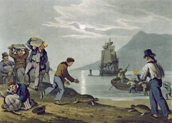 Chytání želv na souši, vyryl Matthew Dubourg (fl.1785-1820), vydal Edward Orme, 1813