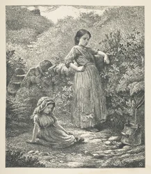 Talíř 16. Dvě mladé dívky.  Obrázky přírody. Série třiceti originálních ilustrací nakreslených na dřevě od J. H. Della a vyrytých R. Patersonem.  John Henry Dell