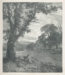 Talíř 3. Jelen kolem stromu.  Obrázky přírody. Série třiceti originálních ilustrací nakreslených na dřevě od J. H. Della a vyrytých R. Patersonem.  John Henry Dell