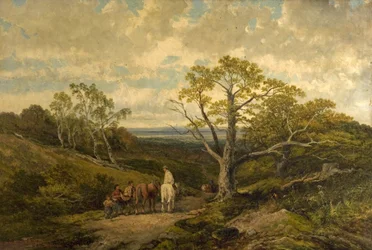 Pohled v Sherwood Forest, Nottinghamshire