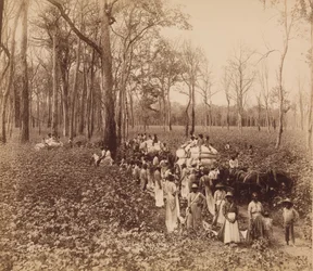 12 hodin v umrtvení, ca. 1891.