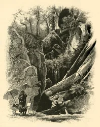 "Ice Glen, Stockbridge", 1874.