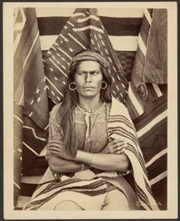 Big Navajo
