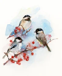 Chickadees with bobule, 2017, (akvarel)