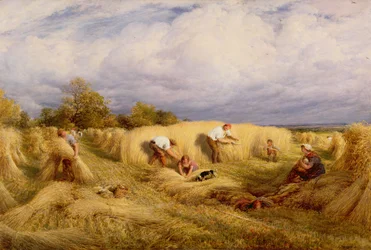 Kombajny, 1855