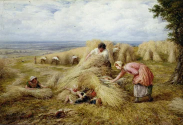 Kolébka úrody: Poledne