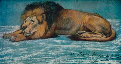 Pastelová studie lva, c1900
