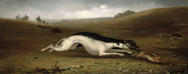 Zajíc coursing v krajině, 1870