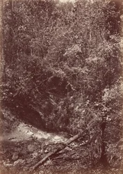 Expedice Darien, 1871 (foto)