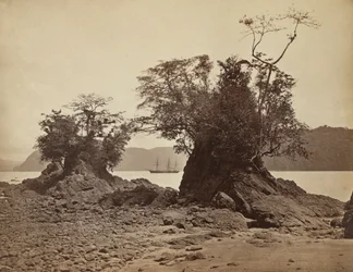 Ostrovy v Lemon Bay, 1871.