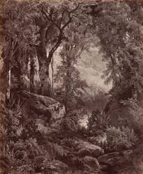 Samota,1865 (foto)
