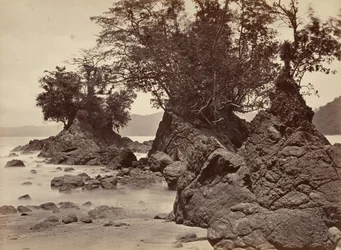 Tropická krajina, Limon Bay – odliv, 1871.