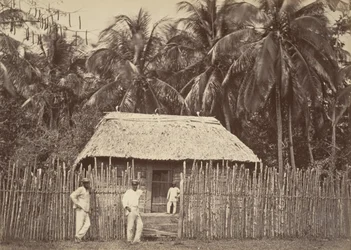 Tropická scenérie, Native Hut, Turbo, 1871.