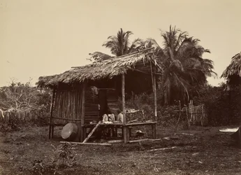 Tropická scenérie, Native Hut, Turbo, 1871.