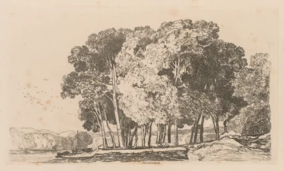 Liber Studiorum: Plate 3, Stromy poblíž Twickenhamu