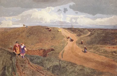 Mousehold Heath, Norwich, asi 1810 (tužka, čb na papíře)