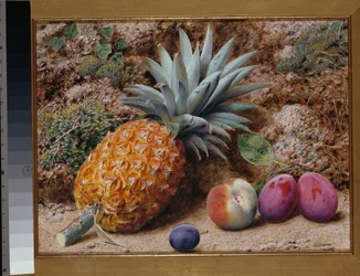 Ananas, broskev a švestky na mechovém břehu