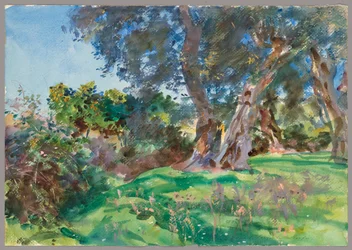 Olivovníky, Korfu
