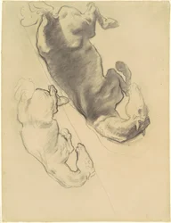 Studie k pádu Goga a Magoga, 1903-1916.