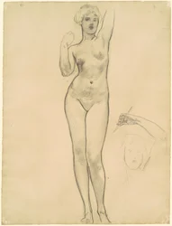Studie Afrodity pro "Aphrodite a Eros"