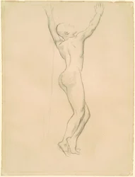 Studie na "Apollo a Daphne"