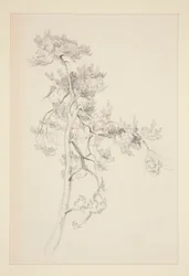 Strom a listí