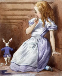 Neznámý obrázek