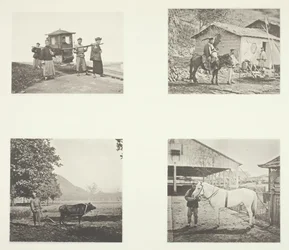 Sedan, vojenský důstojník, pluh, severočínský poník, c. 1868.