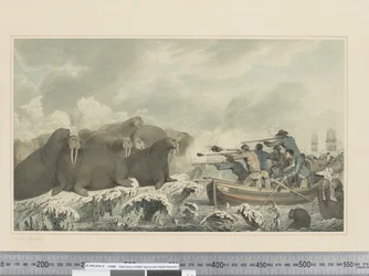 F.32 Sea Horses, cca 1773-1784 (akvarel)