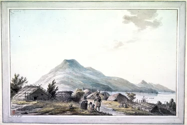 Hippah, Nový Zéland