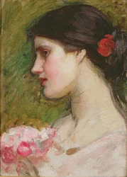 Kamélie, kolem roku 1880