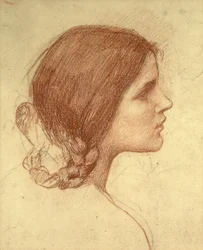 Head of a Girl, c.1905 (červená křída na papíře)