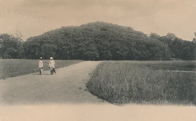 Banyan Tree, Botanická zahrada. Kalkata, 1906.