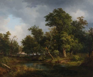 lesní krajina