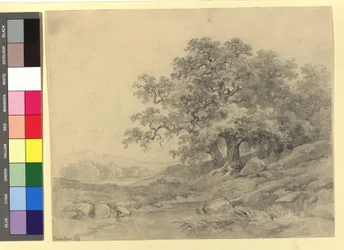 Studie krajiny