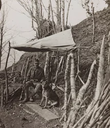 Album "Moje světová válka - vzpomínky na jihozápadní frontu v Korutanech, Itálie, Trentino-Alto Adige) 31.3.1915-12.11. 1918 - Josef Zohles Vídeň ": vojenský pes pod stanem (