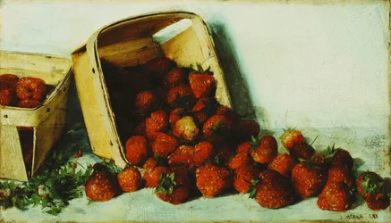 Košík jahod, 1883