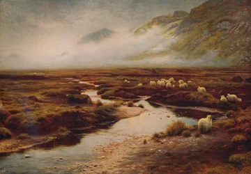 Mech v Poolewe, 1913, c1915