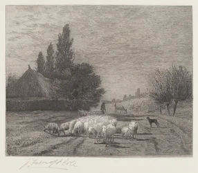 Village Street ve Francii se stádem ovcí