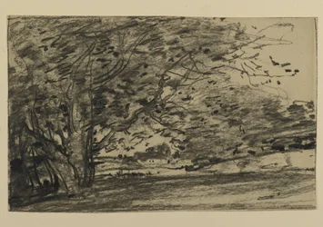 Studie o stromech, 1870 (grafit na papíře)
