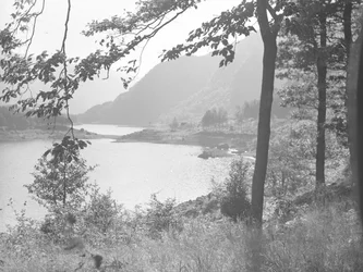 Thirlmere přes větve stromů