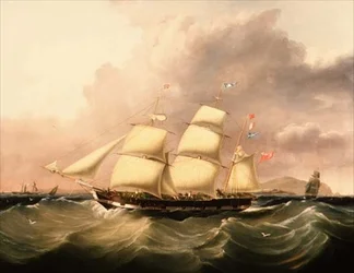 Barque 