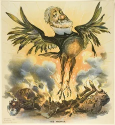 Fénix, od Pucka