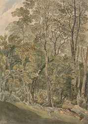 V Rydal Parku