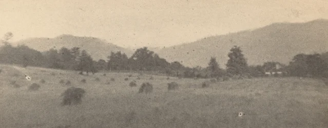 Krajina se stromy a horami, c. 1900.