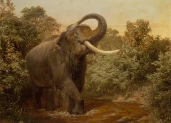Monster Tusker (olej na plátně)